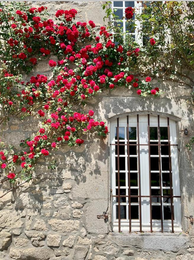 Chateau De La Borde A Ussel, Centre-Ville, Proche Autoroute A89 Ussel  Ngoại thất bức ảnh